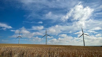 Windräder in einem Feld mit blauem Himmel