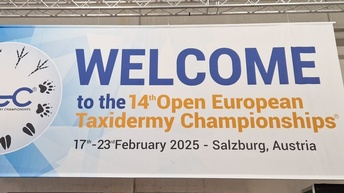 Plakat der 14. Europameisterschaft der Präparatoren