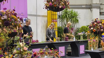 Internationale Gartenbaumesse in Tulln 