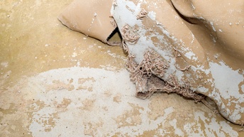 Klebstoffreste unter abgezogenem Teppichboden