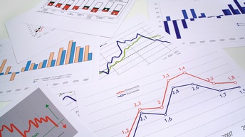 Berichte, Statistiken