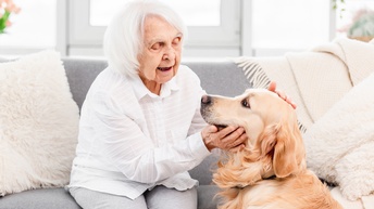 Ältere Person sitzt auf Couch und streichelt Kopf eines Hundes