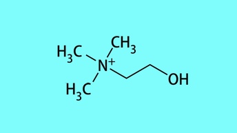 Chemische Struktur von Cholin auf türkisem Hintergrund