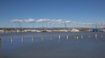 In der Bucht von Rust am Neusiedlersee in Burgenland