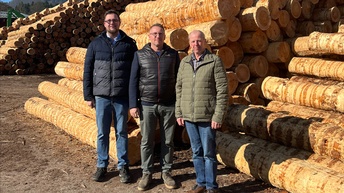 Drei Personen stehen im Freien vor großen, gestapelten Baumstämmen auf einem Holzlagerplatz, im Hintergrund Wald und blauer Himmel.