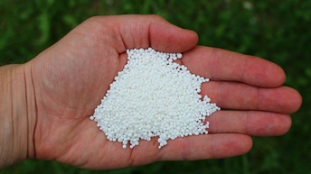 Eine Hand hält Ammoniumnitrat-Kügelchen. Im Hintergrund eine zu düngende Wiese
