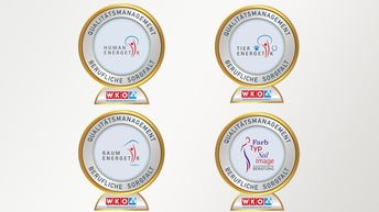 Plakette Qualitätsmanagement: Berufliche Sorgfalt