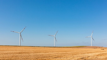Feld mit Windrädern unter blauem Himmel