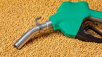 Ein Benzin-Zapfhahn liegt auf einem Haufen Raps