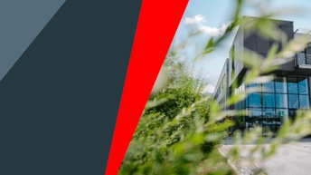 Gebäude mit Glasfront im Hintergrund, vorne eine grüne Pflanze