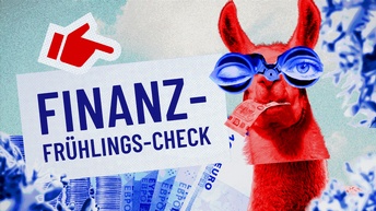 Finanzcheck in blauer Schrift