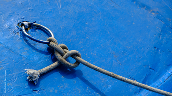 Tolgart | Getty Images