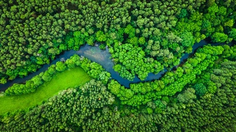 Vogelperspektive eine Laubwaldes durchbrochen von einem Fluss