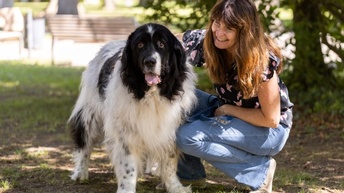 Hund und Frau im Grünen
