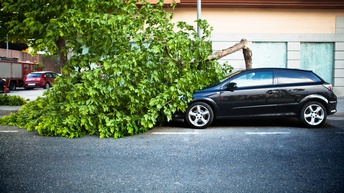 Seitliche Aufnahme eines auf einer asphaltierten Straße stehenden Hauses. Direkt rechts neben dem Auto ist ein umgeknickter Baumstamm. Direkt vor dem Auto liegt die Krone des Baums mit grünen Blättern. Hinter dem Auto ist die Fassade eines Hauses