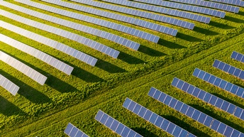 Grünes Feld mit zahlreichen Reihen mit Solarpanelen in Vogelpersperktive