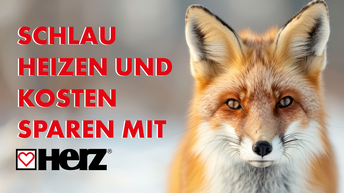 Schlau heizen & Kosten sparen mit HERZ