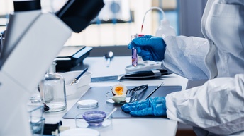 Eine Person untersucht ein Ei in einem Lebensmittellabor