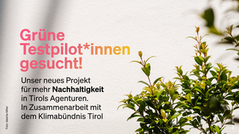 In der rechten Ecke des Bildes sieht man eine Pflanze. Links daneben steht die Aufschrift: Grüne Testpilot*innen gesucht! Unser neues Projetk für mehr Nachhaltigkeit in Tirols Agenturen. In Zusammenarbeit mit dem Klimabündnis Tirol