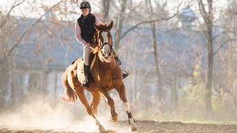 Auf galoppierendem Pferd sitzt Person mit Helm, Sand wird vom Untergrund aufgewirbelt, im Hintergrund verschwommen blattlose Bäume und Gebäude