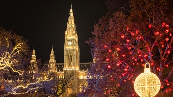 Wiener Rathaus bei Nacht und beleuchtete Bäume mit weihnachtlicher Beleuchtung