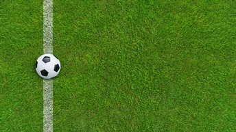 Topshot: Ein Fußball liegt auf einer weißen Linie auf einem Fußballfeld.