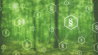 Overlay zahlreicher Paragrafensymbole mit Hexagons umrandet, die durch Linien verbunden sind, im Hintergrund grün verschwommen Wald