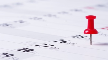 Termine sind mit bunten Stecknadeln auf einem Kalender markiert, Close-up