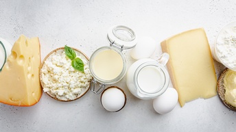 Verschiedene Milchprodukte wie Joghurt, Käse, Topfen, Aufstrich, Eier auf weißem Untergrund platziert, Vogelperspektive