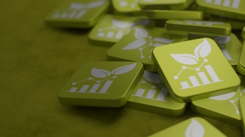 Green Economy, Ökonomie, Grün