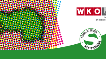 Gepixelte Landkarte der Steiermark mit Logo 