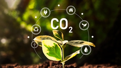 Eine Jungpflanze wächst in der Erde darüber steht CO2 und es zeigen sich  grafische Elemente wie ein Windrad, ein Wassertropfen, ein Haus, eine kleine Pflanze, ein Stecker und ein Umweltzeichen