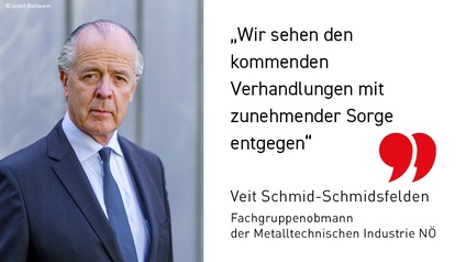 Veit Schmid-Schmidsfelden, Fachgruppenobmann Metalltechnische Industrie NÖ