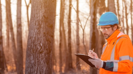 Person in oranger Schutzweste mit blauem Helm und Schutzbrillen steht in Wald und nimmt auf Clipboard Notizen vor