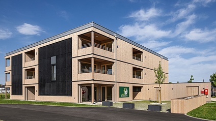 Green Harmony in Kirchham