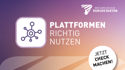 Sujetgrafik Plattformcheck