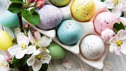 Verschiedenfarbige Ostereier in Eierbehälter, ringsum Blüten