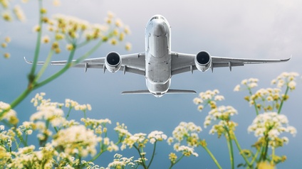 Flugzeug fliegend, im Hintergrund blauer Himmel, im Vordergrund Pflanzen