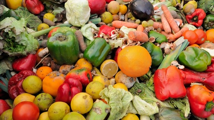 Nahaufnahme eines großen Haufens an verfaultem Gemüse, zum Beispiel Paprika, Salat, Zitronen, Karotten