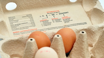 Karton mit Eier, auf der Deckelinnenseite ist die Herkunftssicherung mit allen Angaben gekennzeichnet sowie haben die Eier einen Stempel