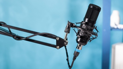 Nahaufnahme eines Mikrofons, das an einer ins Bild ragenden Metallstange montiert ist