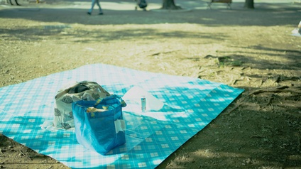 Eine blau-weiße Picknickdecke liegt am Boden eines Parks. Auf der Decke stehen zwei große, befüllte Sackerl. Im Hintergrund gehen Personen
