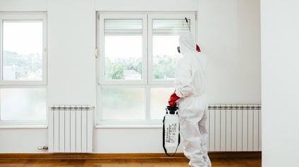 Person in Rückenansicht in weißem Schutzanzug hält Sprühcontainer in der Hand und appliziert Mittel mit Sprühstab an Fensterrahmen in weißem leeren Wohnraum mit Parkettboden
