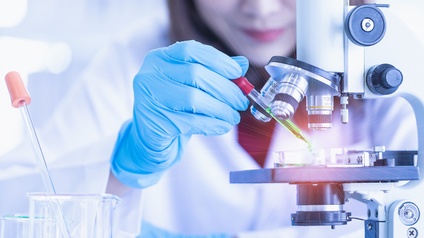 Nahaufnahme von einer Person, die blaue Schutzhandschuhe trägt und mit einer Pipette eine grüne Flüssigkeit in ein Schälchen unter ein Mikroskop gibt