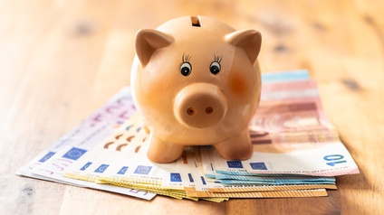 Sparschwein steht auf aufgefächerten Euro Geldscheinen auf einem Holzuntergrund