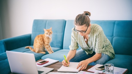 Neben Katze sitzt Person mit Brille auf blauem Sofa und macht Notizen, ringsum Arbeitsutensilien und ein aufgeklapptes Notebook