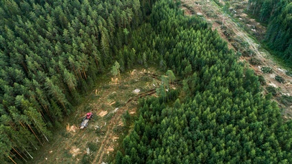 Vogelperspektive eines Waldes mit Nadelbäumen. Zwei größere Flächen des Waldes sind gerodet. An einer Stelle steht ein Fahrzeug, das hinten mit Baumstämmen beladen ist