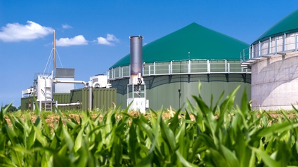 Biogasanlage inmitten eines Maisfeldes
