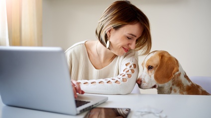 Person mit kurzen blond-braunen Haaren und Strickpullover sitzt an einem Schreibtisch mit Laptop und Tablett und blickt auf einen Hund herab, der neben ihr auf einem Stuhl sitzt