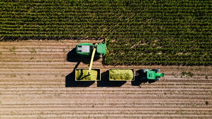 Aufnahme eines Feldes aus der Vogelperspektive. Auf dem Feld fährt eine Maschine, die die grünen Pflanzen auf dem Feld aberntet und in einen Behälter neben sich gebt, der von einem Traktor gezogen wird. Etwa die Hälfte des Feldes ist geerntet